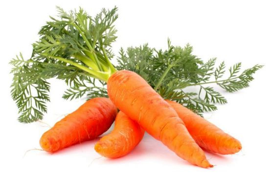 Mondolkiri Carrot