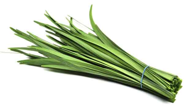 Chive Leaves