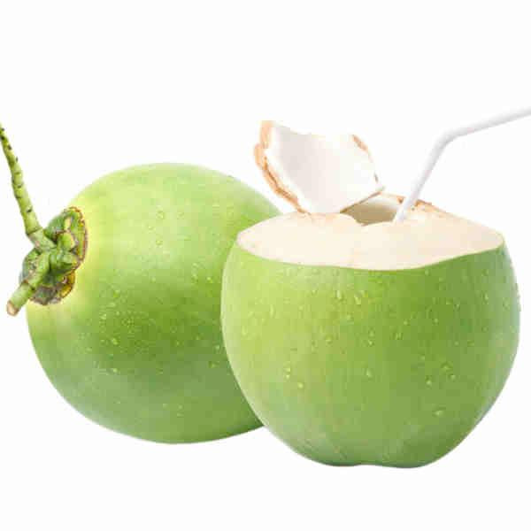 Coconut Young Green Rithy 1 Supply